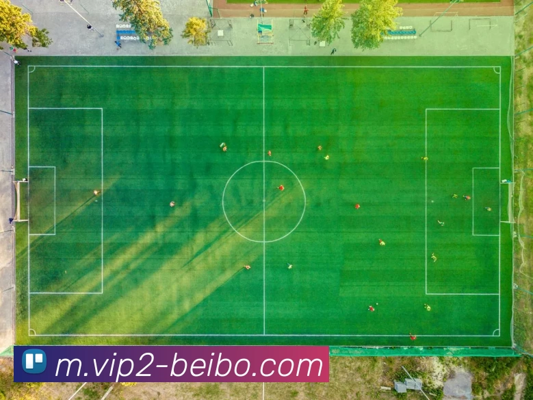 多媒体互动体验